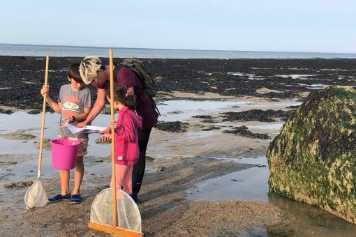 les bons gestes de la peche a pied sur la cote de nacre