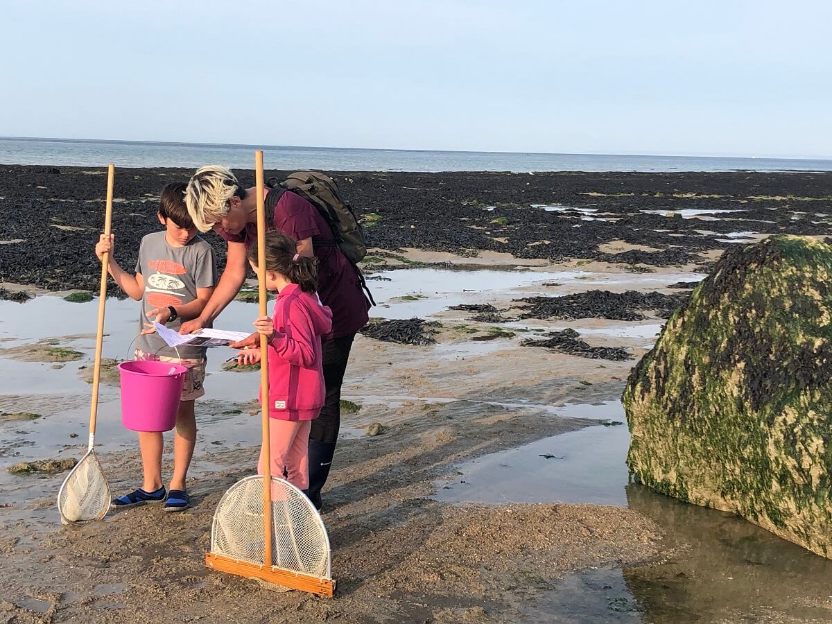 les bons gestes de la peche a pied sur la cote de nacre