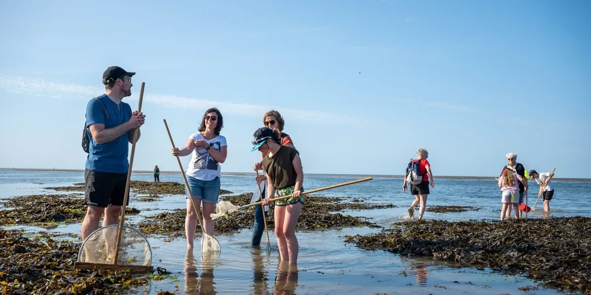 peche a pied saint aubin sur mer 2023 07 18 17 47 23 2552 thomas le floc h normandie tourisme