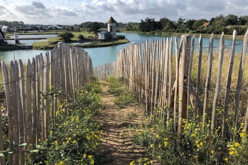 ile de plaisance courseulles sur mer credit mathilde lelandais 4