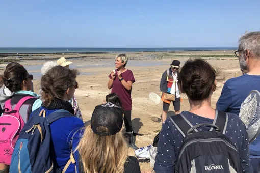 la balade decouverte littorale peche a pied de loisirs saint aubin sur mer credit mathilde lelandais 1 2