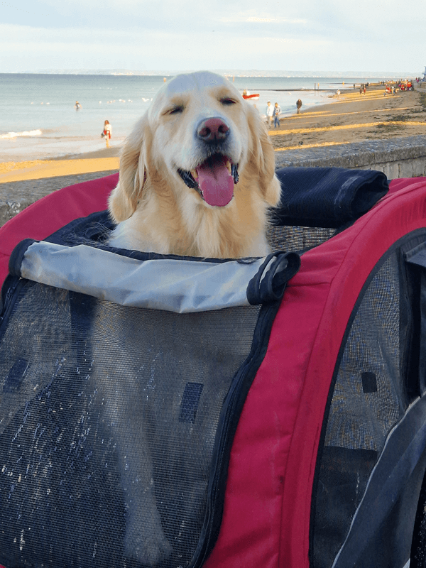 destination dog friendly voyager avec son chien balade plage credit nathalie papouin 2