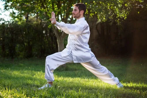 qi gong franciscojcesar