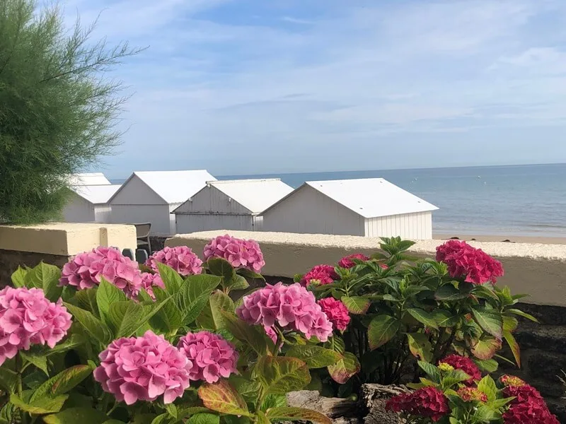 cabines fleurs saint aubin sur mer credit mathilde lelandais