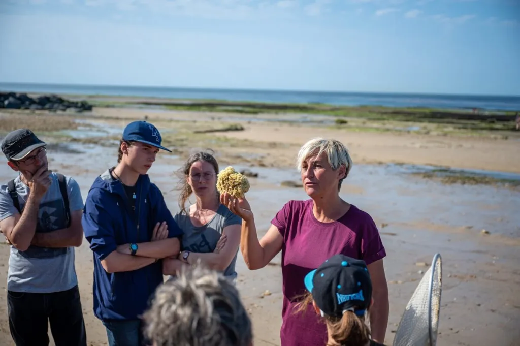 peche a pied saint aubin sur mer 2023 07 18 16 53 51 2287 thomas le floc h normandie tourisme