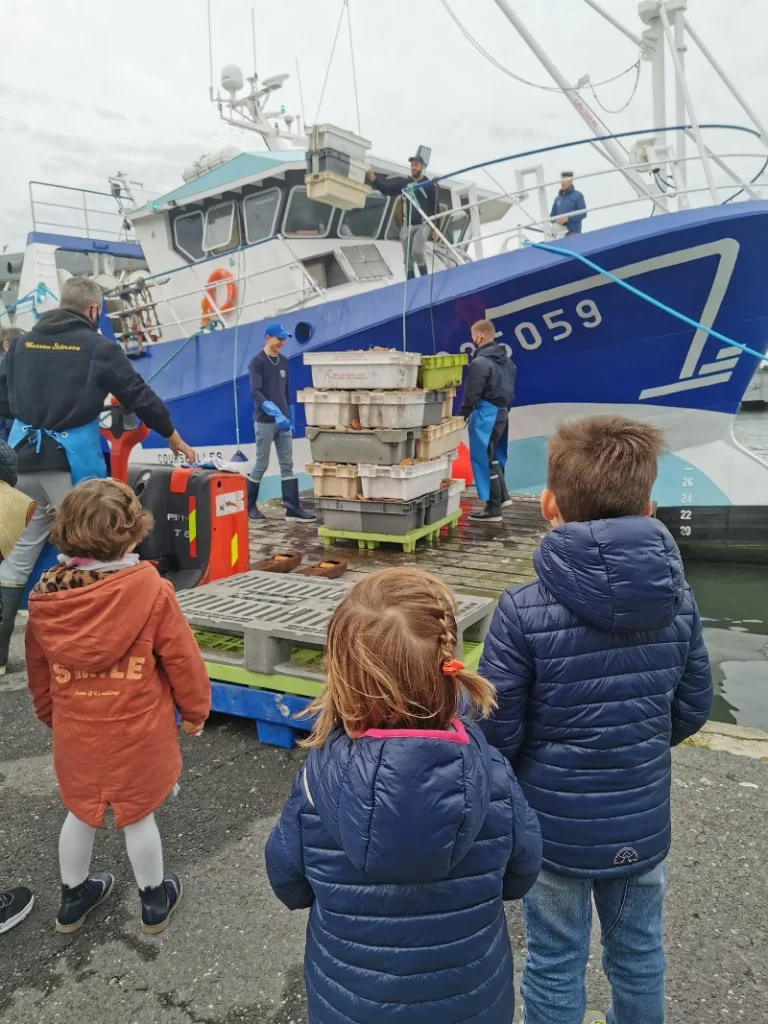 les enfants observent la debarque la coquille saint jacques courseulles sur mer credit nathalie papouin