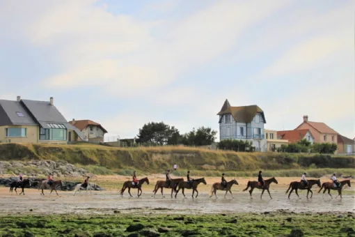 chevaux sur la plage balade equitation saint aubin sur mer credit nathalie papouin 2